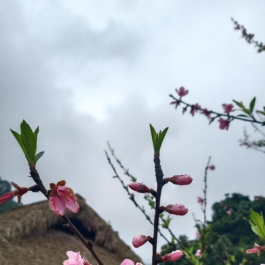 Dao Homestay Hoang Su Phi 외부 사진