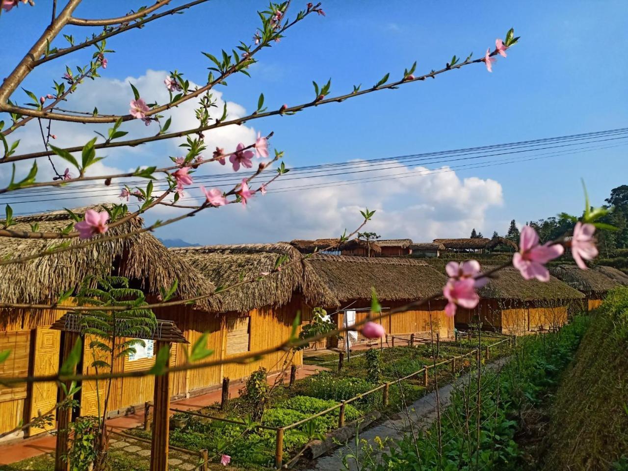 Dao Homestay Hoang Su Phi 외부 사진